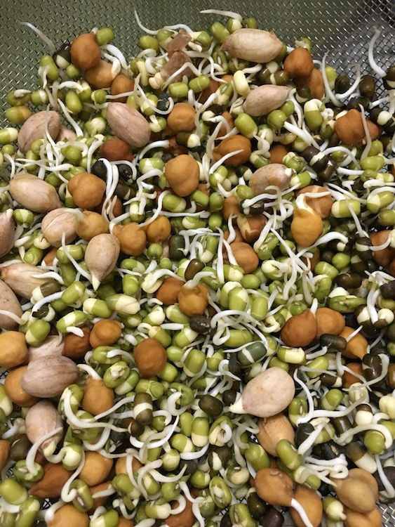 How To Sprout Beans Legumes Nuts Seeds And Grains My Weekend Kitchen